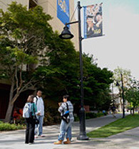 SJSU Campus Image